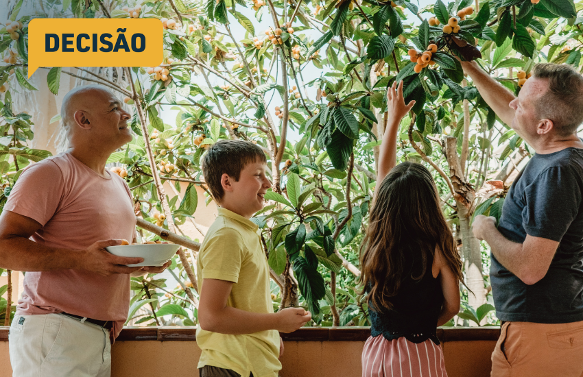 TJPR reconhece parentalidade socioafetiva e multiparentalidade